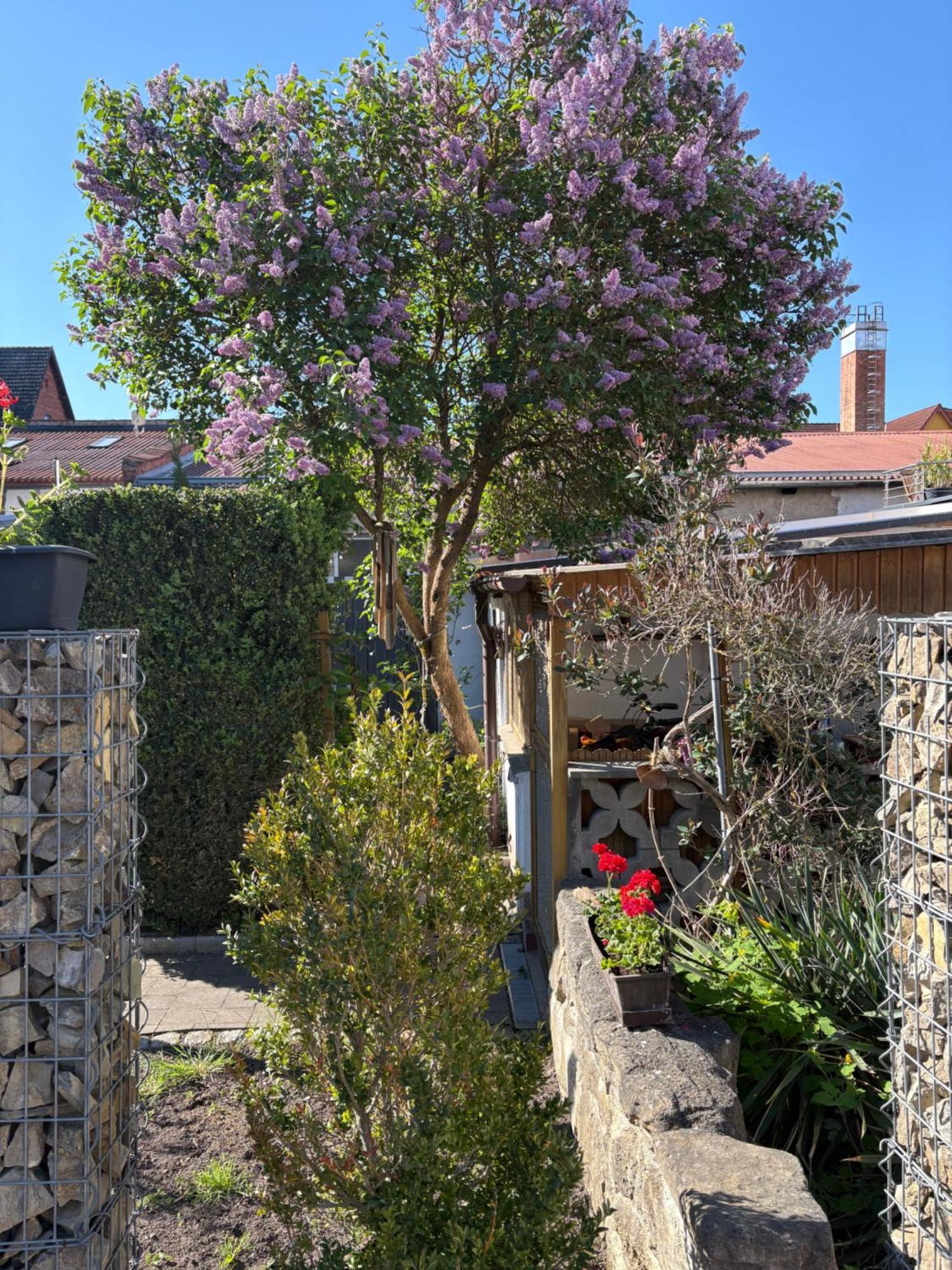 Haus Hannah Meiningen Zewnętrze zdjęcie