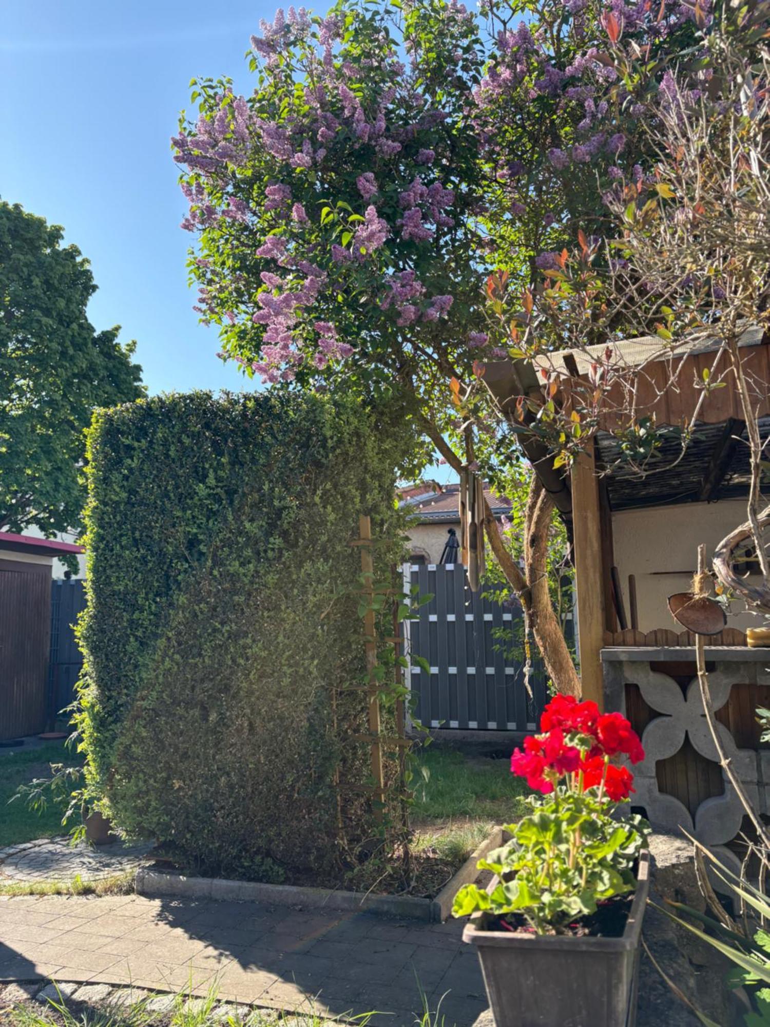 Haus Hannah Meiningen Zewnętrze zdjęcie